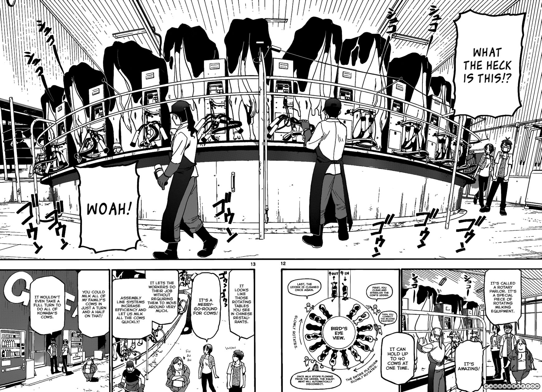 Chapter 16 image 13
